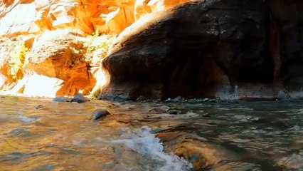 8K Video Ultra Hd | Best Nature View | Calming Video | Ultra Hd 4K