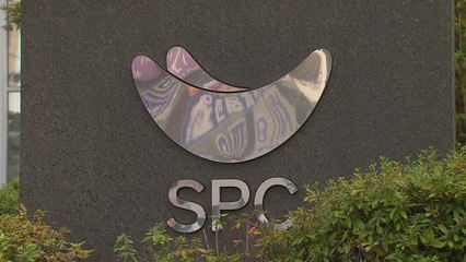 검찰, '민주노총 탈퇴 강요 의혹' SPC그룹 본사·자회사 압수수색 / YTN