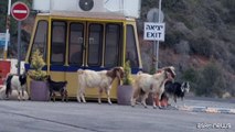 Villaggi israeliani deserti al confine col Libano: viviamo nel terrore