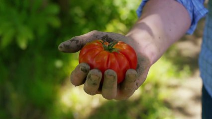 Bio, più ettari assicurati nel 2022