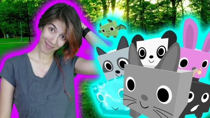 Kare Hayvanlar | Roblox Pet Simulatör