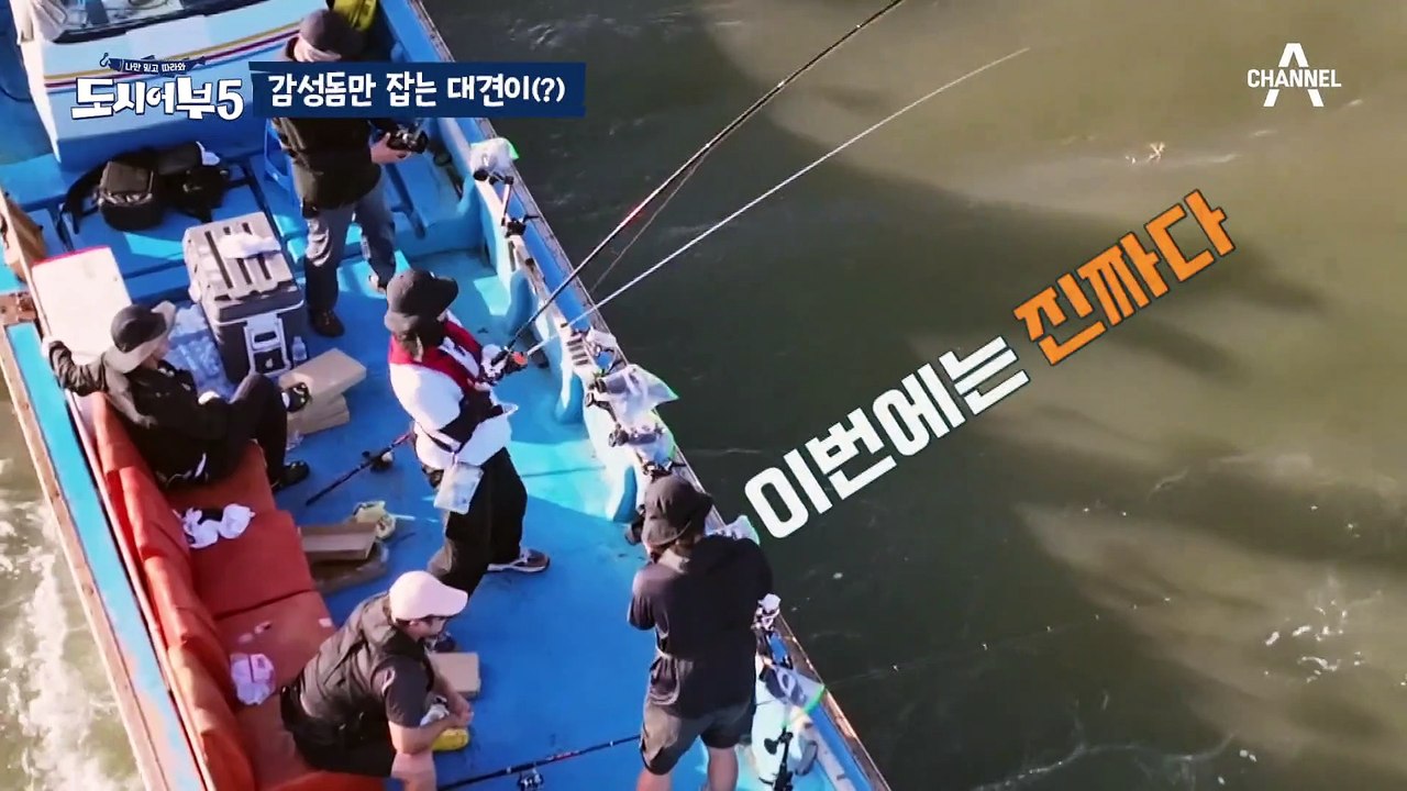 [#도시어부] "재는 진짜 어떻게 감성돔만 저렇게 잡지?" 낚시 고수들도 혀를 내두르...