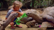 Caring for Orphaned Baby Wildlife: Rescues and Releases