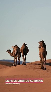 ✅Música instrumental para relaxar e acalmar o corpo, a mente e a alma #Shorts (Instrumental music to relax and soothe body, mind and soul #Shorts)