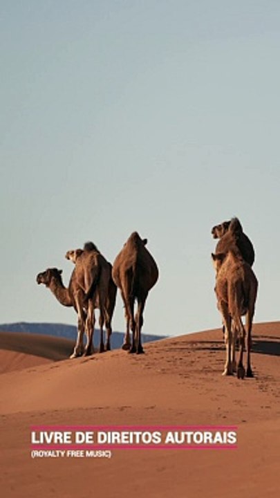 ✅Música instrumental para relaxar e acalmar o corpo, a mente e a alma #Shorts (Instrumental music to relax and soothe body, mind and soul #Shorts)