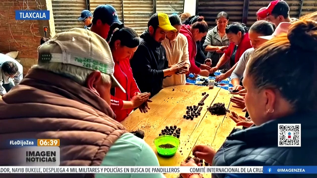 Realizan reforestación aérea en Tlaxcala