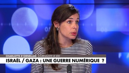 Charlotte d'Ornellas : «Qui décide de quelle propagande est autorisée ?»
