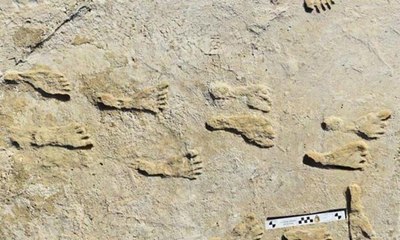 اكتشاف تاريخي لأقدم وجود بشري في الأمريكتين