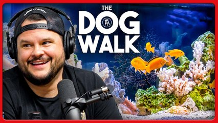 The Life of a Professional Fish Tank Builder & Exotic Fish Handler