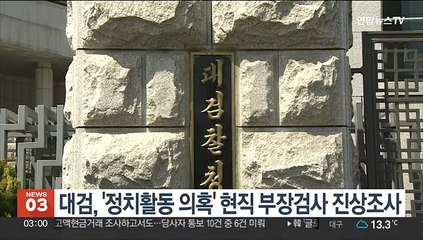 대검, '정치활동 의혹' 현직 부장검사 진상조사