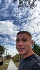 Un chat dur fait peur à un chien