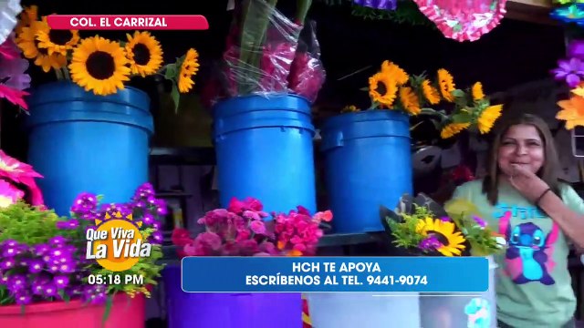 Transmisión en Vivo (2511)