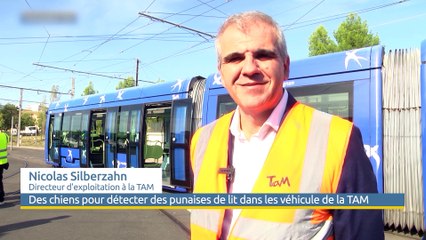 Le Grand J.T. des Territoires du 14 octobre 2023
