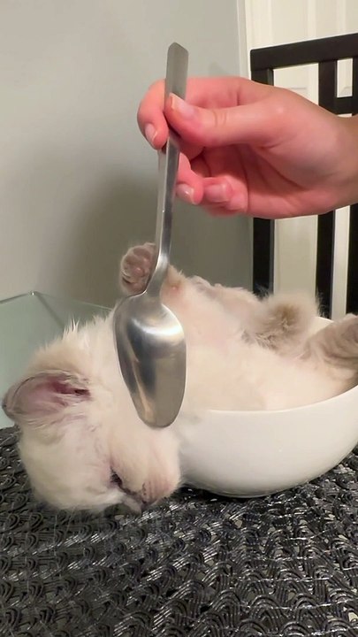 Fluffy Soup