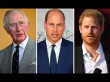 Prince Charles ‘sidestepped’ discussing William and Harry’s work: 'Didn't want to talk'