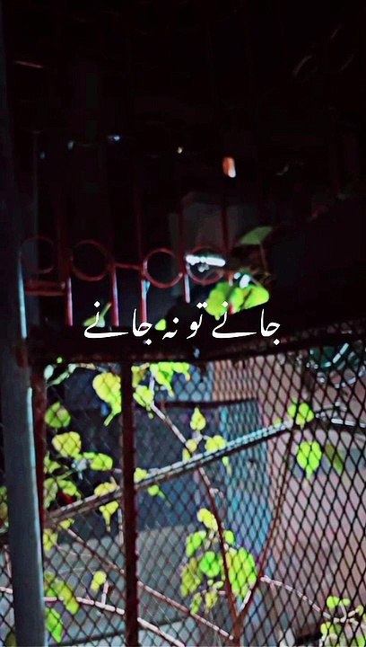 Pakistani