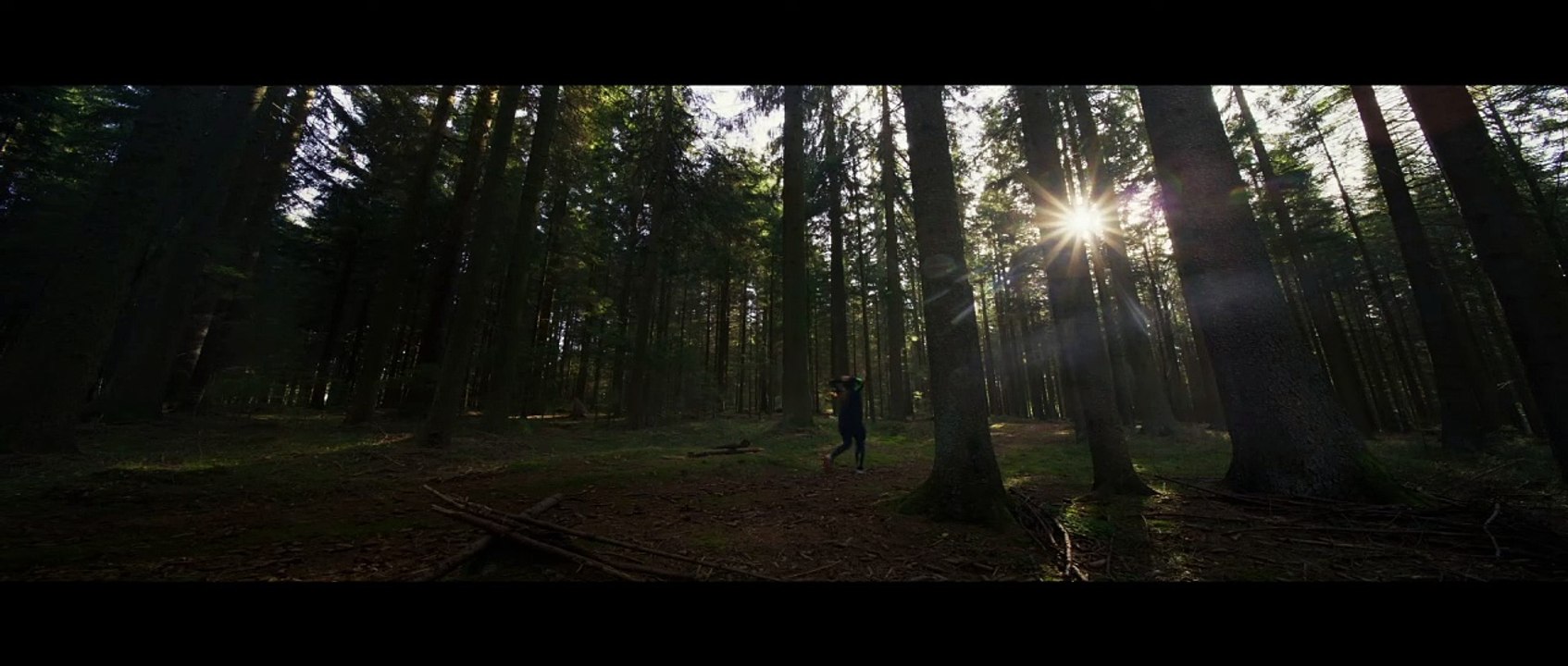 Wald | movie | 2023 | Official Trailer