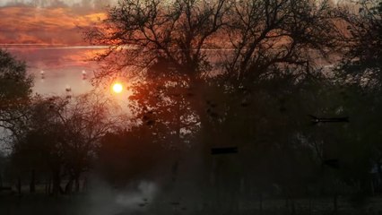 The Birds Changed Names And The World Turned Into Ice | movie | 2023 | Official Trailer