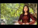 Bong sim rung - Trong Huu & Thoai My