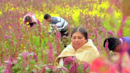 ATB NOTICIAS 1(12-10-2023)