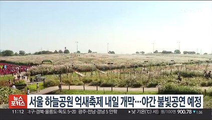 서울 하늘공원 억새축제 내일 개막…야간 불빛공연 예정