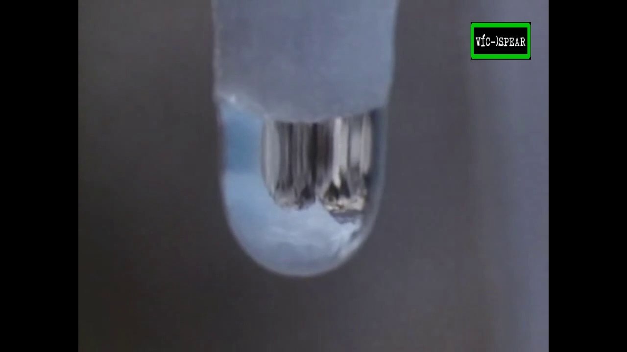 El Primer Edem: La Creacion - Documental (1987) Español Latino - Episodio 1