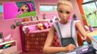 Barbie Dreamhouse Adventures Barbie Dreamhouse Adventures S03 E001 Virtually Famous