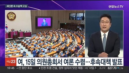 [뉴스포커스] 김행, 자진 사퇴…여, 쇄신론 속 돌파구 고심