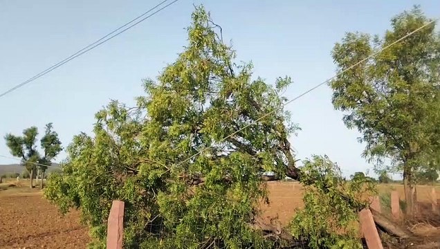 दिन व रात के तापमान में रहा उतार-चढ़ाव