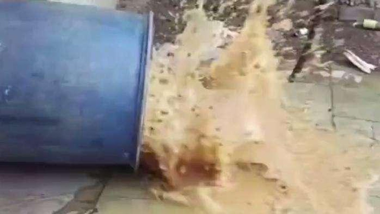 बारां: आबकारी विभाग के एक्शन ने शराब तस्करों में मचा हड़कंप, देखिए ये खबर