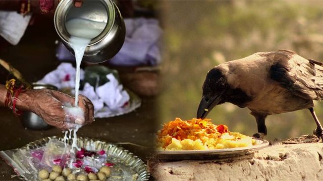 Sarva Pitru Amavasya 2023 Shradh Vidhi: घर पर कैसे करें सर्वपितृ अमावस्या श्राद्ध विधि | Boldsky