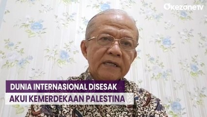 Wujudkan Perdamaian, MUI Desak Dunia Internasional Akui Kemerdekaan Palestina