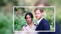 Prince Harry and Meghan 'making their voices heard' with new philanthropic projects