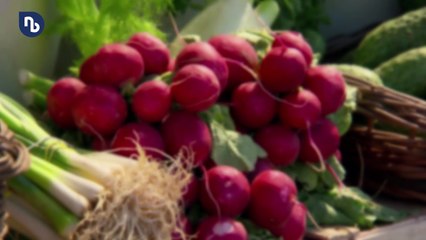 Gemüse auf dem Balkon: Was jetzt noch für den Winter wächst