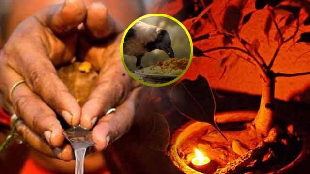 Sarva Pitru Amavasya 2023: सर्वपितृ अमावस्या के दिन क्या करना चाहिए क्या नहीं | Boldsky