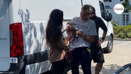 Adopta un perrito y su reacción al llegar a su nuevo hogar emociona a todo TikTok