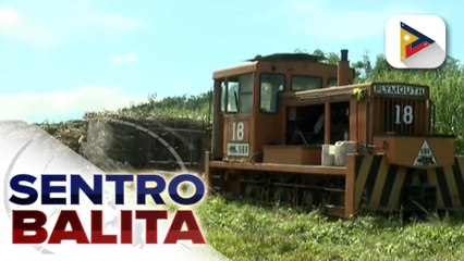 Descargar video: SRA, pansamantalang ipinatigil ang paglalabas ng imported sugar sa merkado para ‘di madehado ang sugar cane farmers ngayong harvest season;