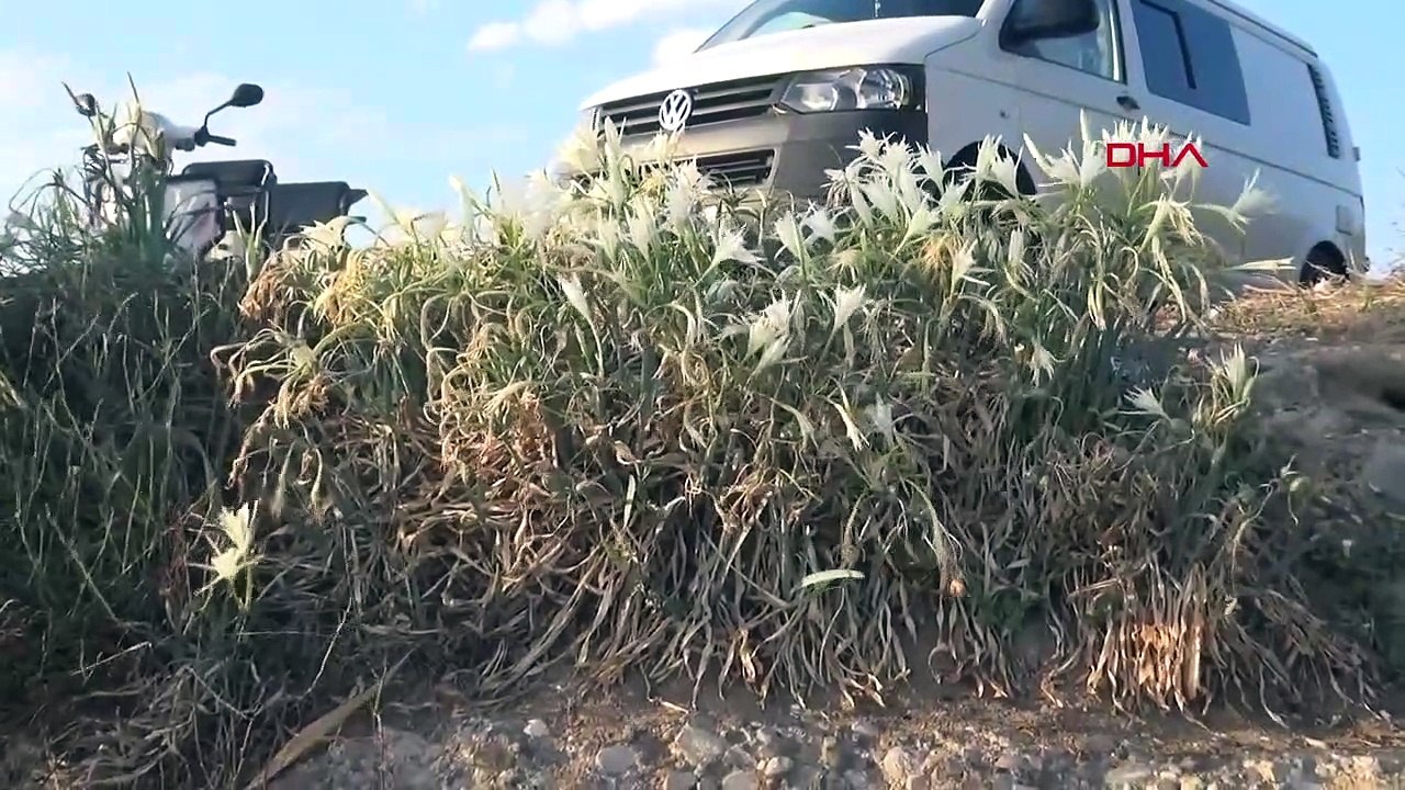 Le tourisme menace les nénuphars