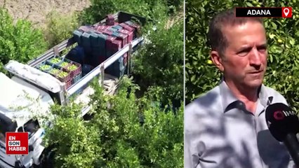 Adana'da hasat işçisi sorunu: Günlük 447 liraya işçi bulunamıyor