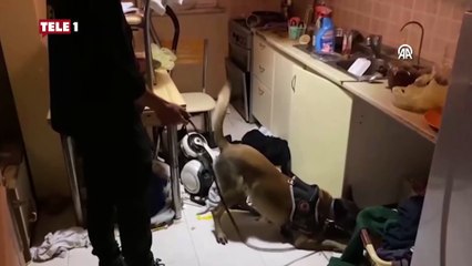 Polis Cihat Ermiş'i şehit eden 'Ceco İsa' grubuna operasyon!