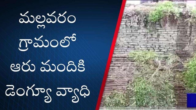 నంద్యాల జిల్లా: డెంగ్యూ కలకలం... ఓకే కుటుంబంలో..