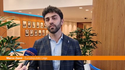 Medio Oriente, Zanni "Ue sia più convinta nel sostegno a Israele"