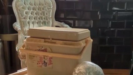 Artist makes a spooky Halloween decoration box filled with body entrails