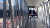 Two heartwarming proposals on a cruise ship tour of a family *Wholesome Video*