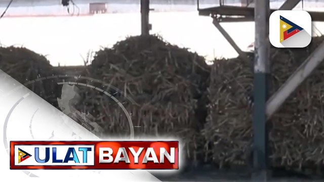 Mga magsasaka ng tubo, umaaray sa mababang bentahan ng Asukal; SRA, gumagawa ng mga hakbang para mabawasan ang gastos ng mga magsasaka