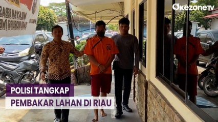 Polisi Tangkap Pembakar Lahan di Riau, Lokasi Akan Dijadikan Kebun Sawit