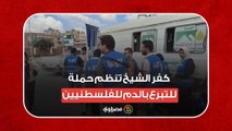 كفر الشيخ تنظم حملة للتبرع بالدم للفلسطنيين