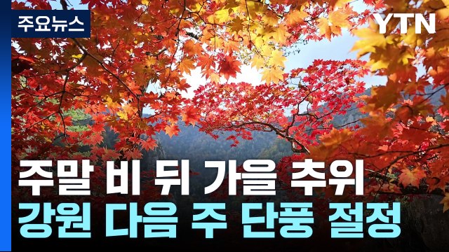[날씨] 일교차 커지며 단풍 확산...주말 요란한 비 뒤 가을 추위 / YTN