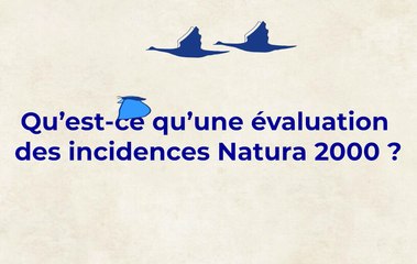 Evaluation des incidences Natura 2000
