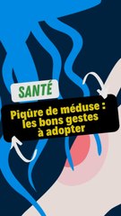 Piqûre de méduse : Les bons gestes pour un soulagement immédiat !